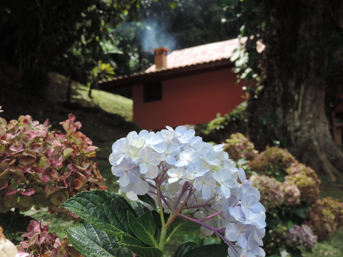 Chale Truta Da Floresta Visconde De Maua Exterior photo