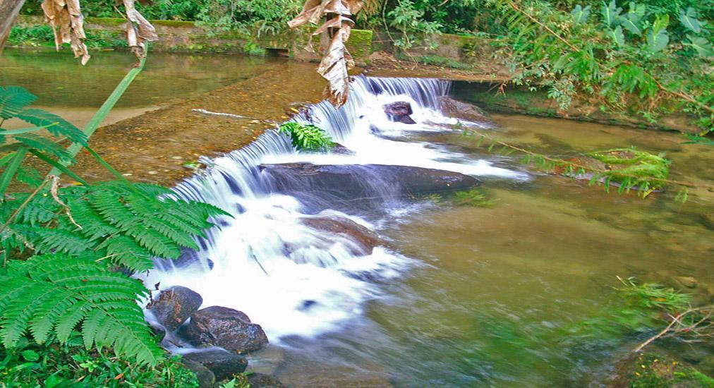 Chale Truta Da Floresta Visconde De Maua Exterior photo